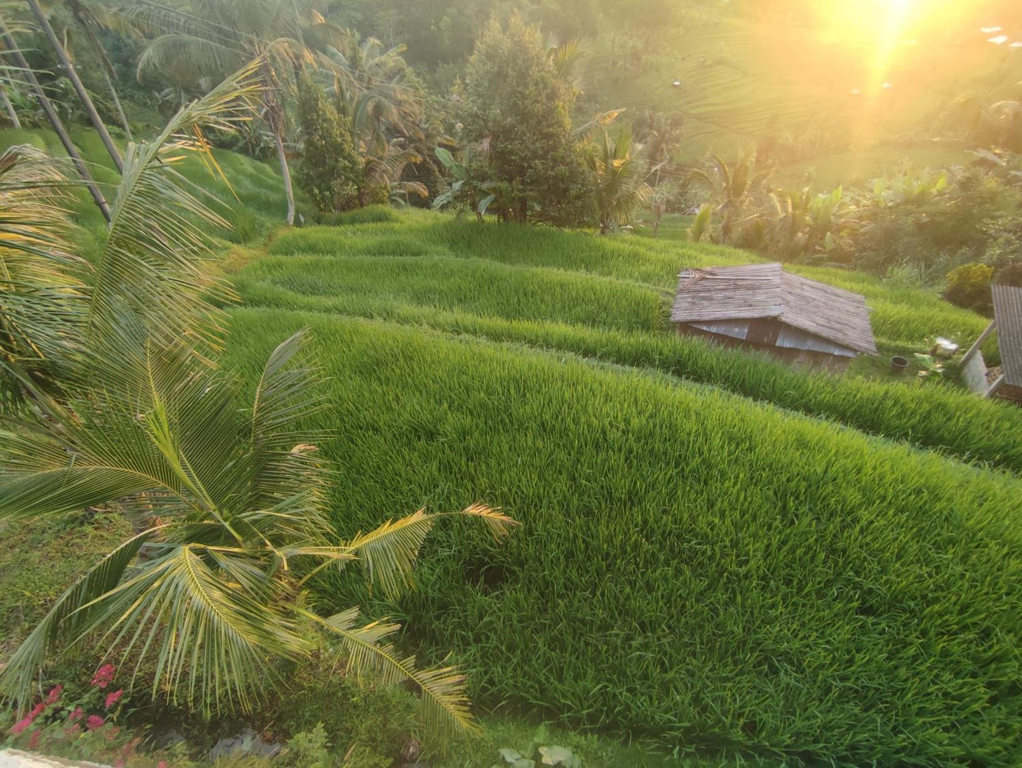 Gunza Bed And Breakfast Jatiluwih Exterior photo